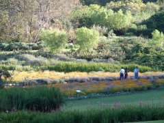 12-Kirstenbosch botanical gardens